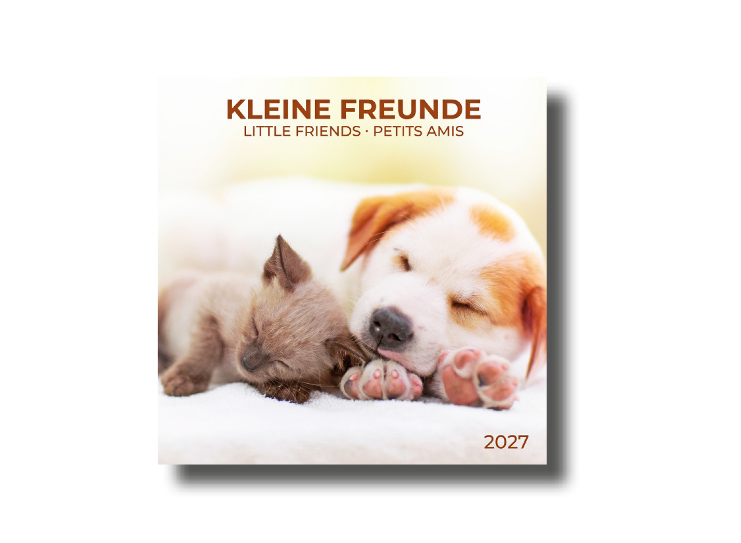 Kalender "Kleine Freunde"