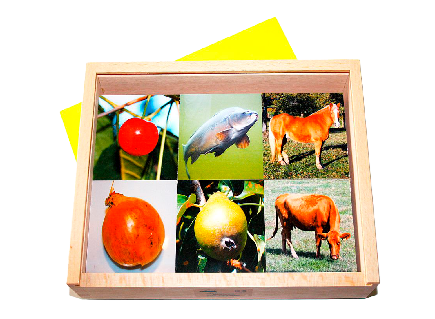 Was gehört zusammen?